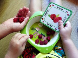 VIACJAZYČNÉ KARTIČKY - UČME SA SPOLU, ZÁKLADNÉ POTRAVINY - malina. Miska s malinami, VIACJAZYČNÁ KARTIČKA s malinami a detské ruky, ktoré si na malinách pochutnávajú.