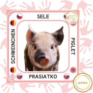 UČME SA SPOLU - VIACJAZYČNÉ KARTIČKY - ZVIERATÁ NA FARME - ukážka prasiatko - jazyková verzia - SLOVENSKY - NEMECKY - ČESKY - ANGLICKY, štvorcový formát pripravený na prezeranie na mobile.