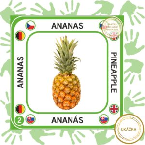 UČME SA SPOLU - VIACJAZYČNÉ KARTIČKY - ZÁKLADNÉ POTRAVINY - ukážka ananás - jazyková verzia - SLOVENSKY - NEMECKY - ČESKY - ANGLICKY, štvorcový formát pripravený na prezeranie na mobile.